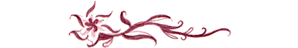 Image separator in the shape of a flower