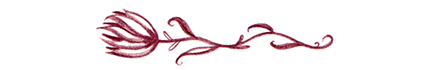 Image separator in the shape of a flower