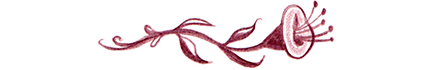 Image separator in the shape of a flower