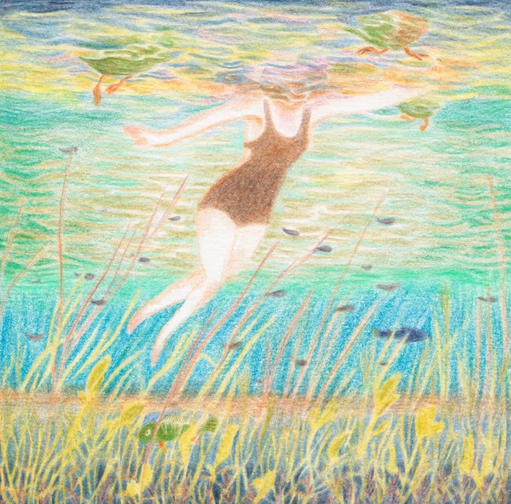 Colour pencil drawing of showing underwater shot of woman swimming among small fishes.