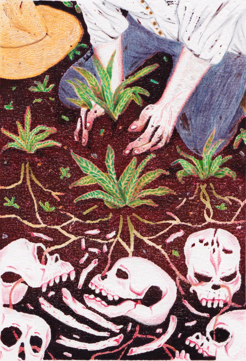 Anonymous kneeling figure scooping plant, with roots leading to skulls and bones buried at the bottom of the soil